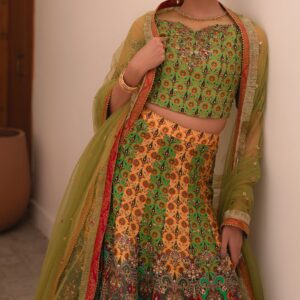 Multi Kali Lehnga Choli